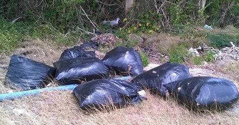 Lack of Political Will Shown to Wrestle Illegal Dumping to the Ground