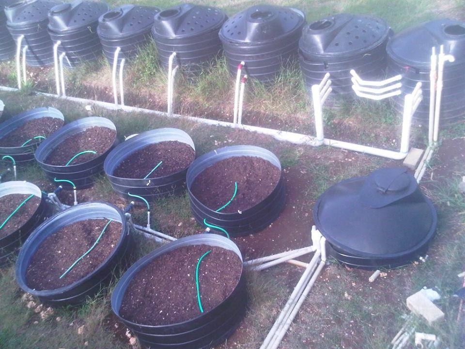 Charting the Path to Food Security!