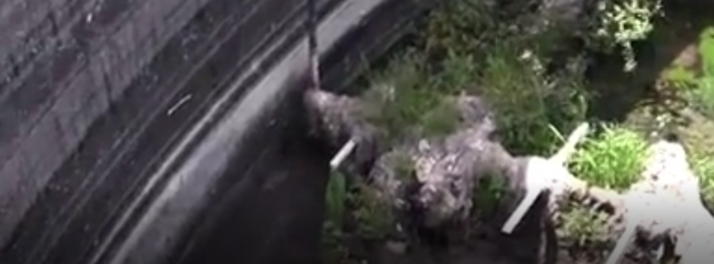 Local Media Dithered as Sewage Plants Entered Failure Mode