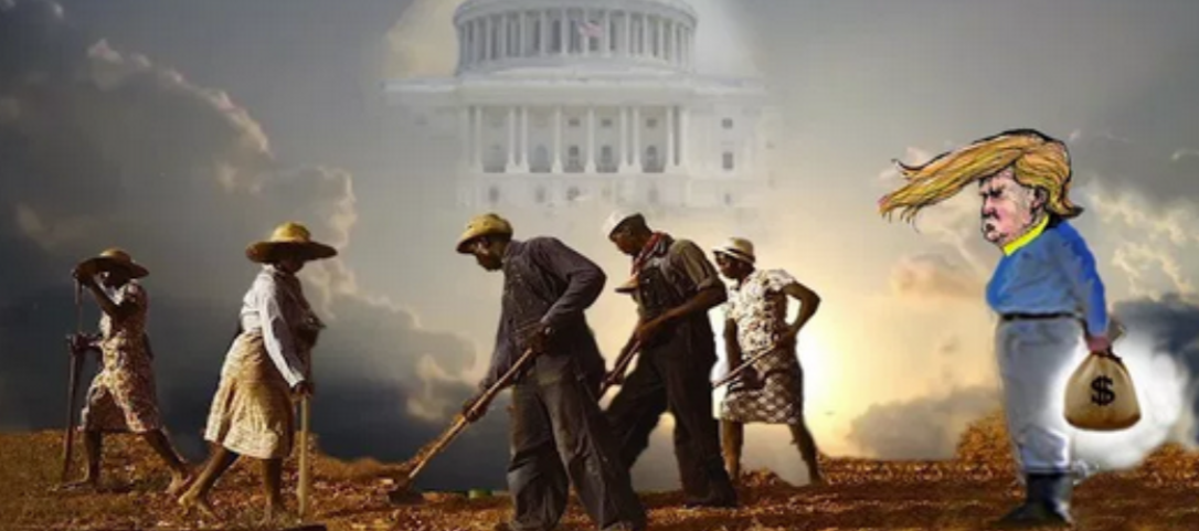 African Liberation Education (3)