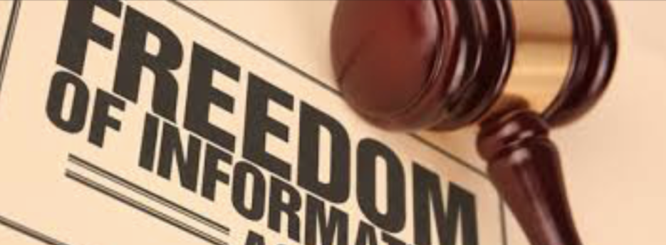 Freedom of Information Underpins Strong Democracy II