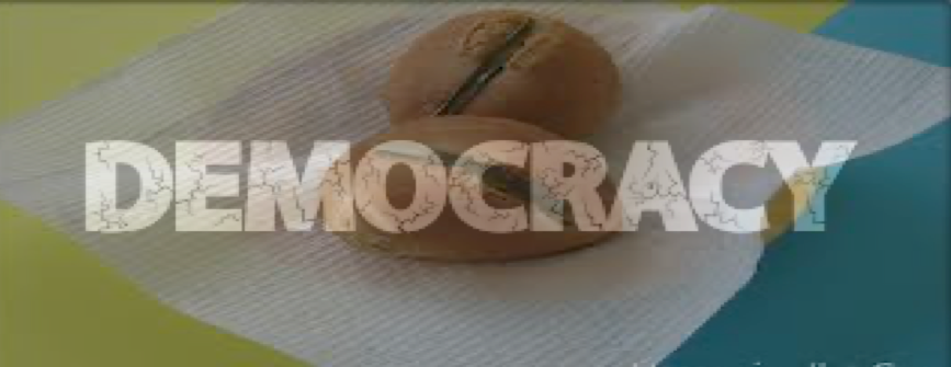 Who Needs a Salt Bread Democracy