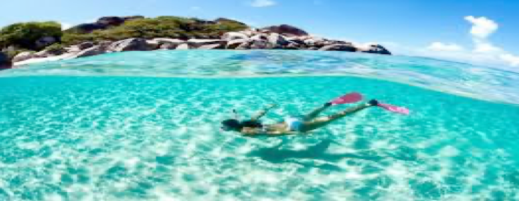 BTMI and Marketing Barbados