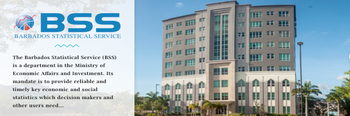 A Government Dedicated to Making Announcements