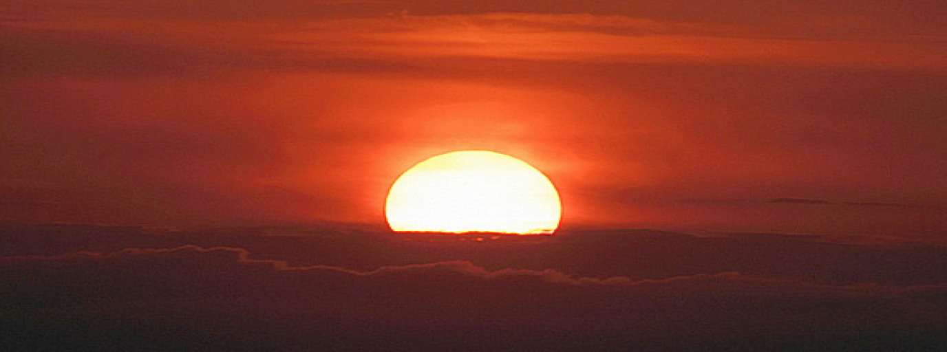 A Citizenry Contented to be Baffled by BS