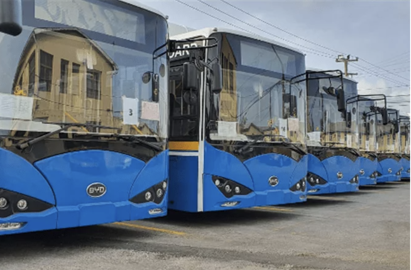 More Chinese electric buses promised