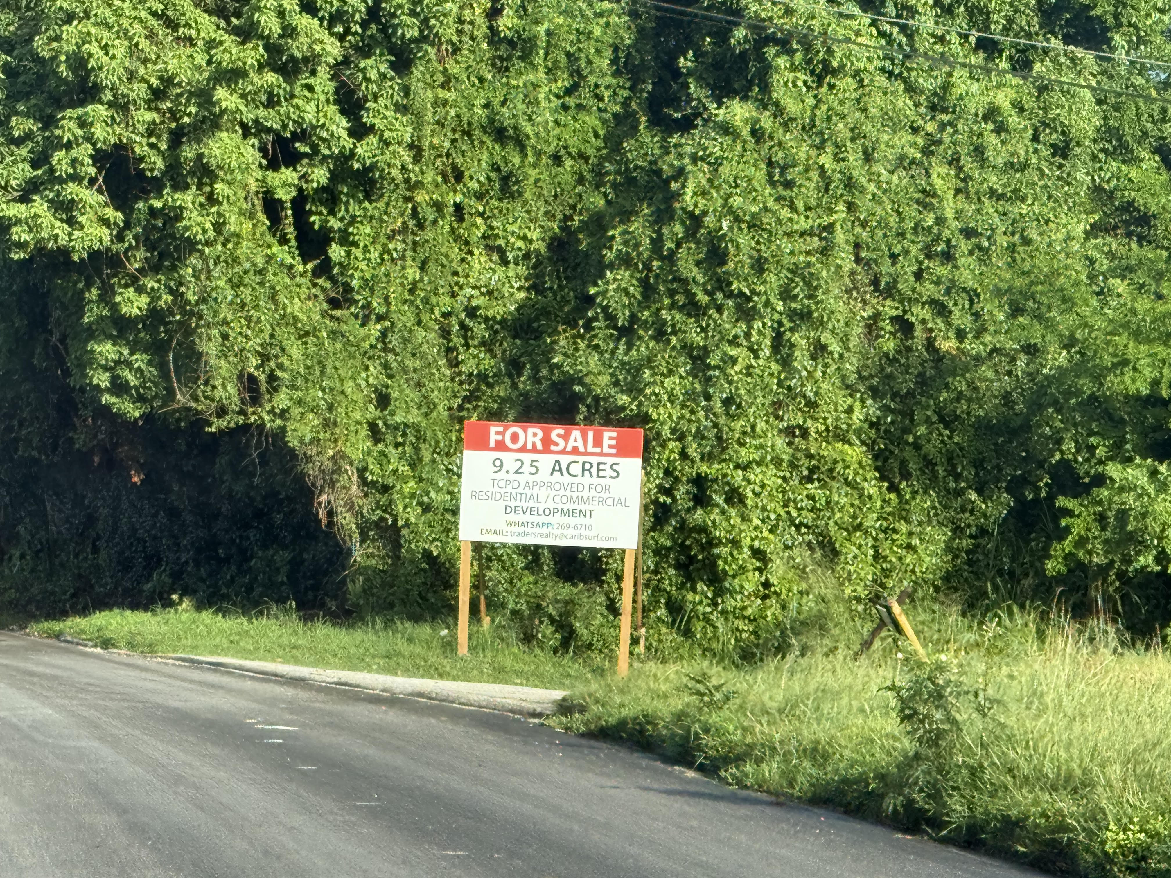 Constant Plantation land approved for housing by government