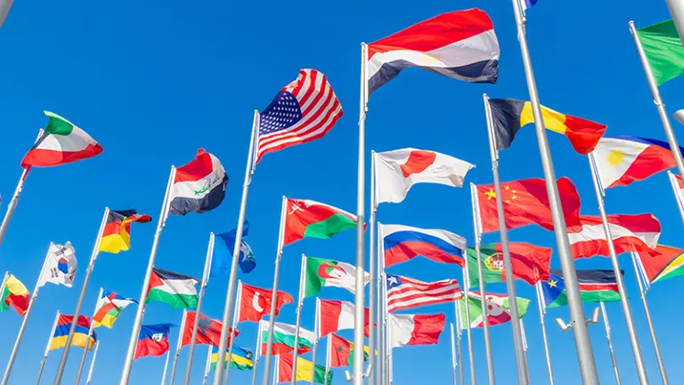 The New World Order in Action